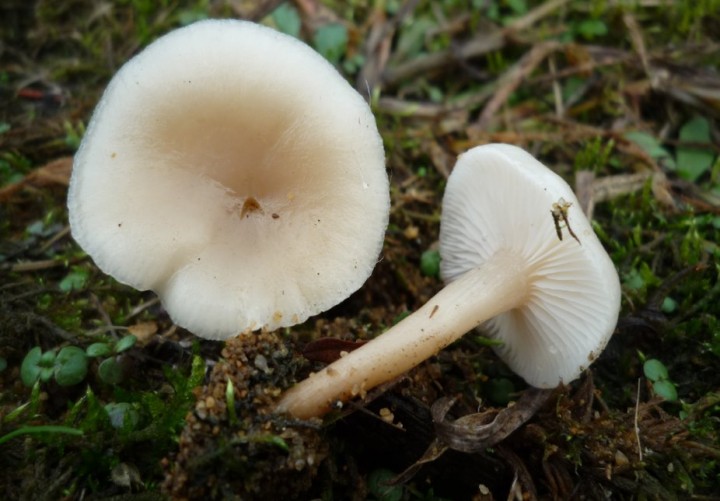 L1320919 (copie 1).JPG