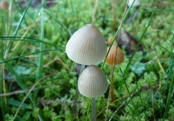L1330094 (copie 1).JPG