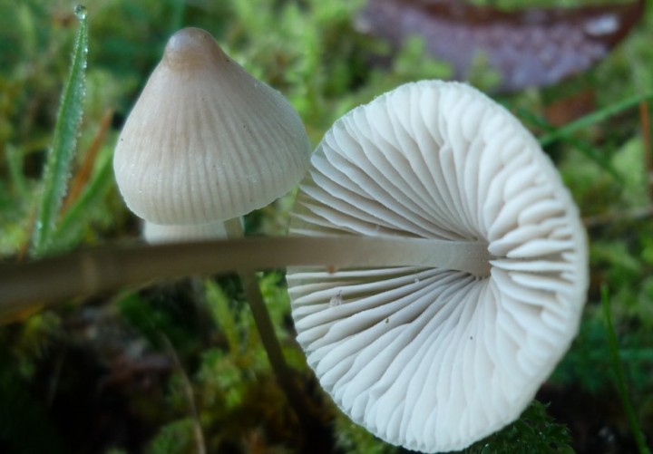 L1330092 (copie 1).JPG
