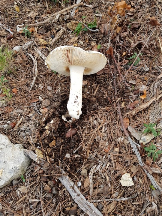 20181114_154919 - Copie.jpg