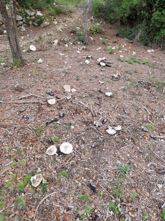 20181114_154950 - Copie.jpg