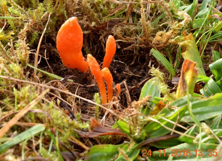 DSC_0151_01.JPG