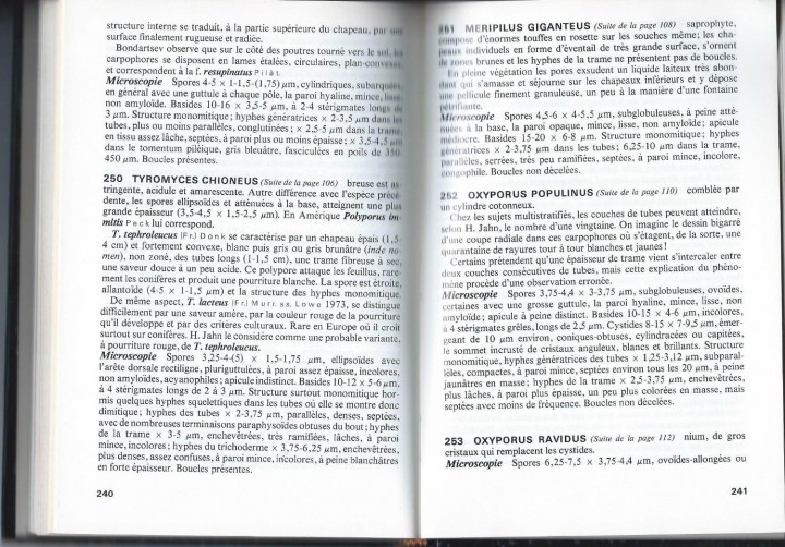 Cliquer sur l'image pour agrandir