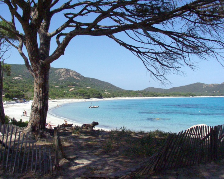 Plage de Palombaggia vue de Tamaricciu, mai 2003 - Cliquer pour agrandir