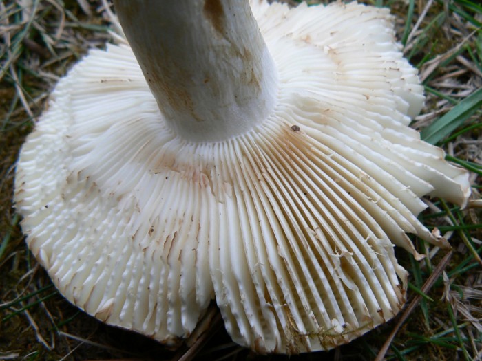 P1100069.jpg