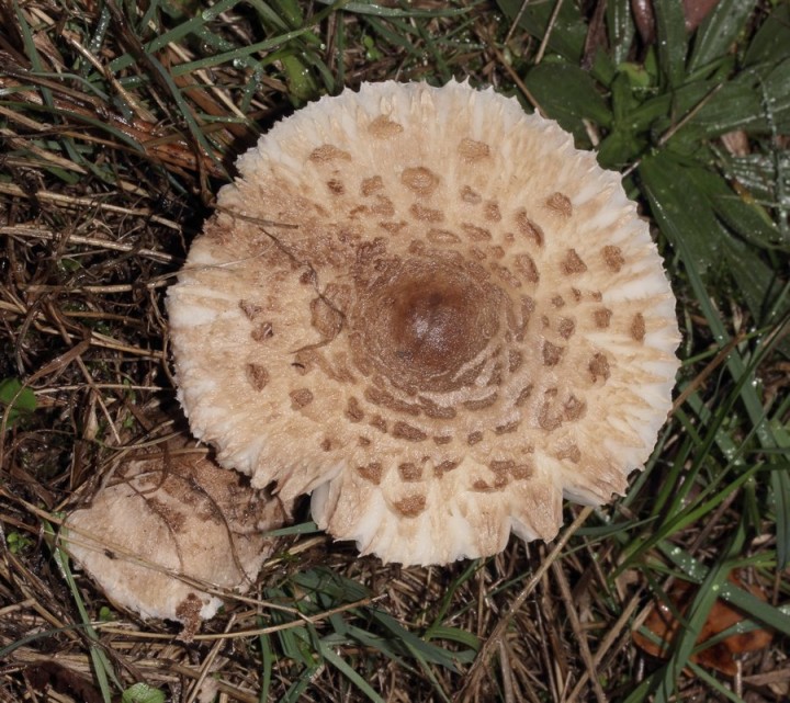 DPP_00018.JPG