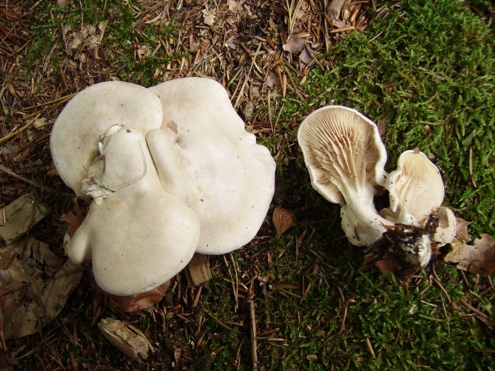 2005-07-21 07-41-12_0023.JPG