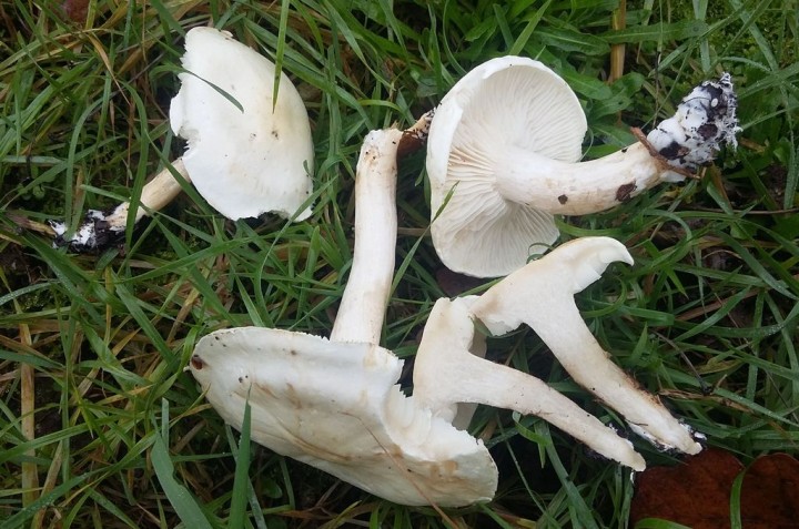 20181205_103355.jpg
