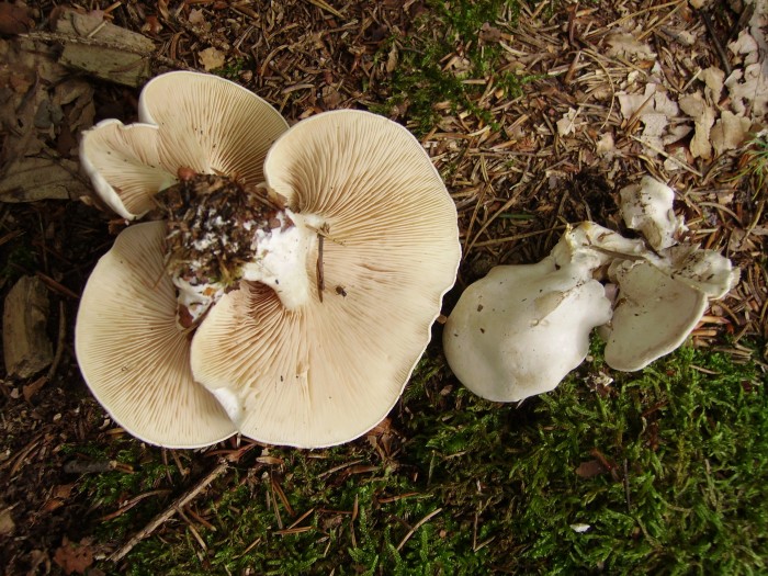 2005-07-21 07-41-35_0024.JPG