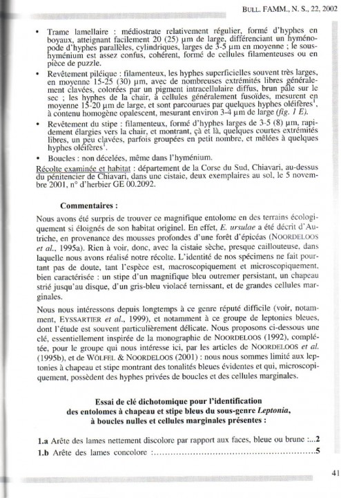 Sans titre - 3.jpg