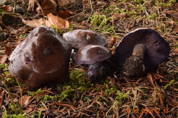 DSC_0172_01.JPG