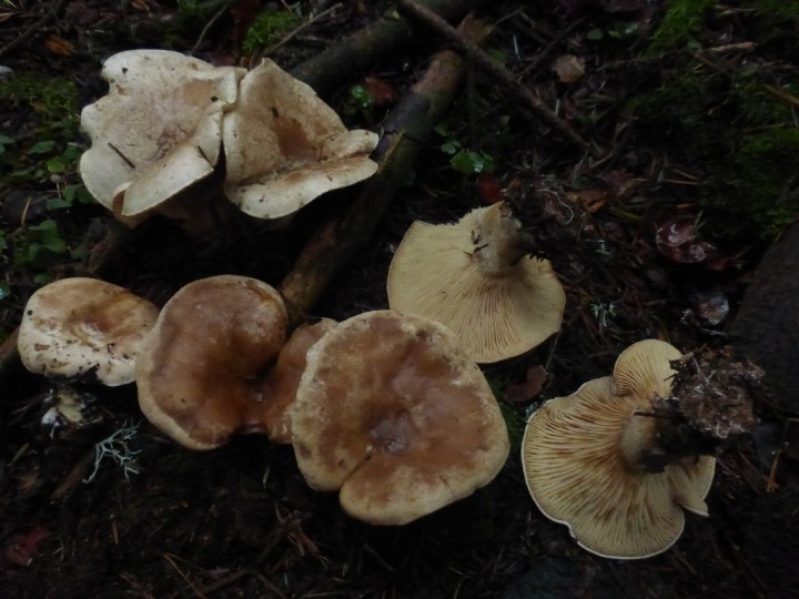 P1270131.JPG