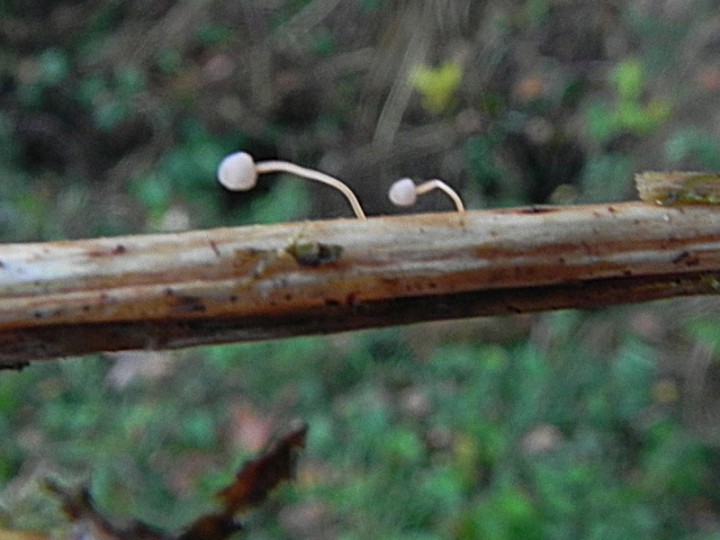 DSCN9948b.JPG