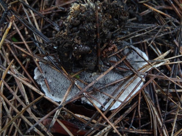 DSC02404.jpg