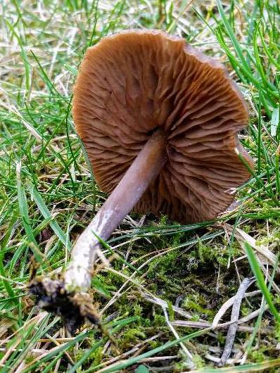 20181208_121744_2 redim.jpg