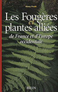 Fougeres_Plantes_alliees.jpg