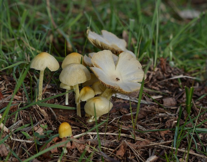 DSC_0051.JPG
