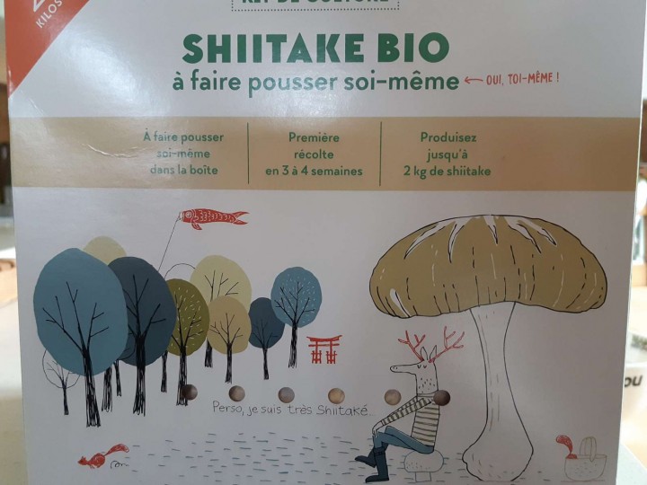 _copie-0_Shiitake.jpg