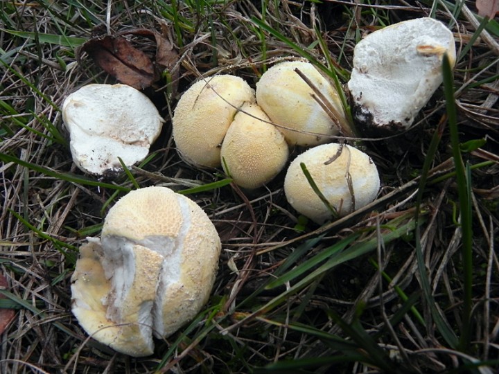 DSCN0113b.JPG