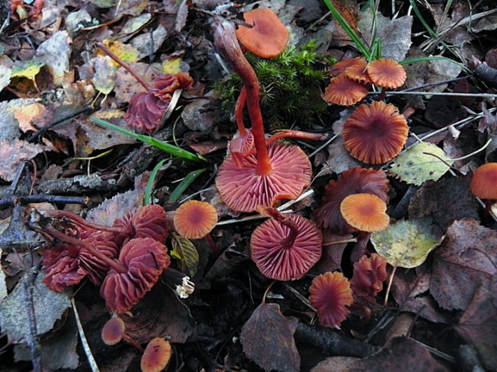 DSCN0792b.JPG