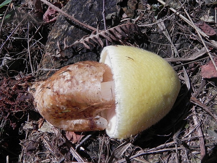 DSCN1161b.JPG