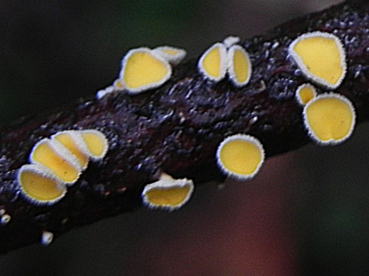 DSCN0304b.JPG