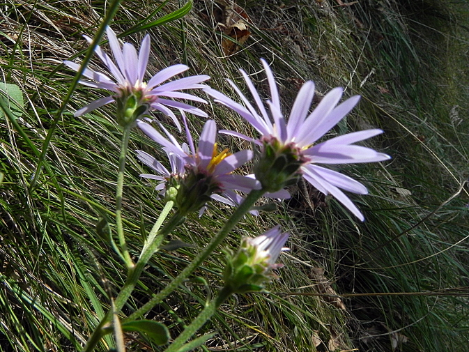 DSCN9297b.JPG