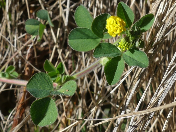 P1050159_DecoupeR.JPG