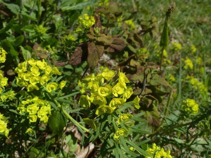 P1050268_R.JPG