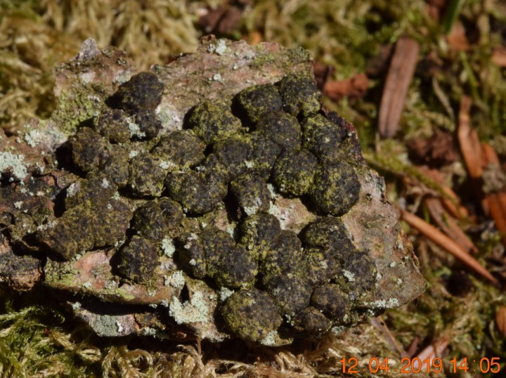 DSC_0240_01.JPG