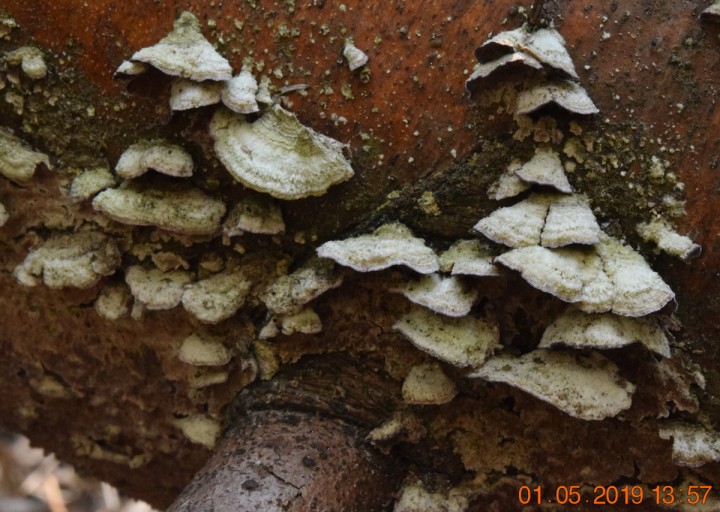 DSC_0273.JPG