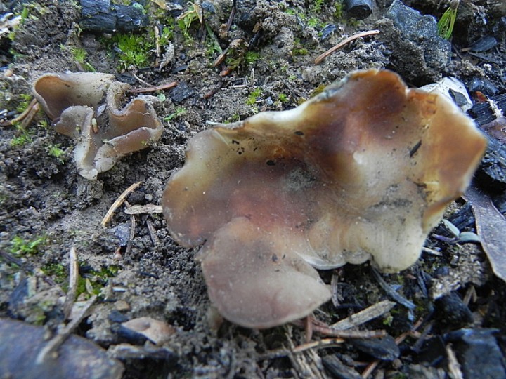 DSCN8069b.JPG