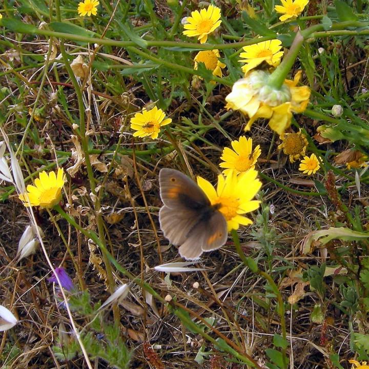 20190504_120336.jpg