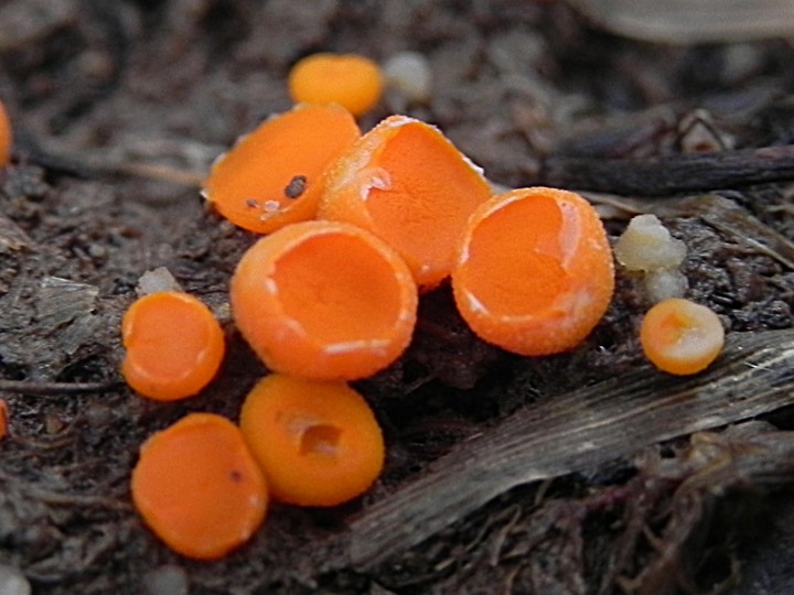DSCN8127b.JPG