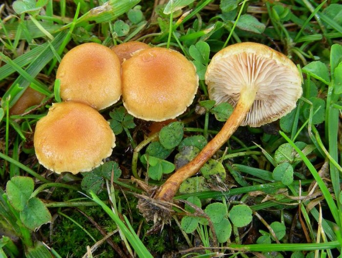 4668 P1760.jpg
