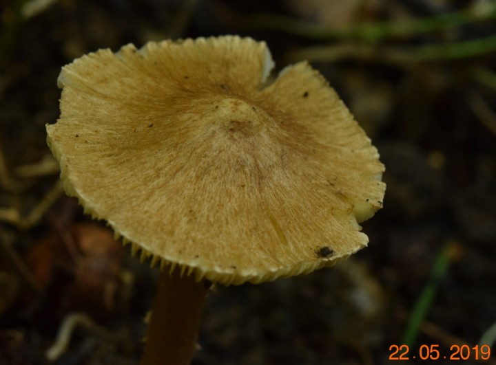 DSC_0382_01.JPG