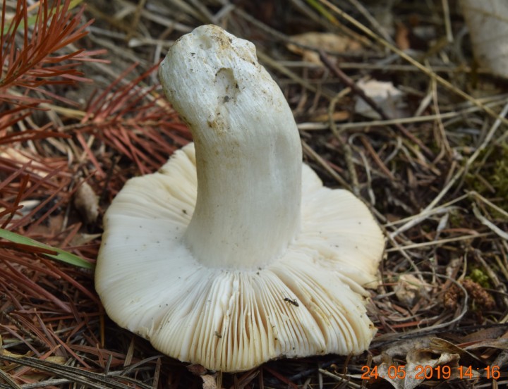 DSC_0394_01.JPG