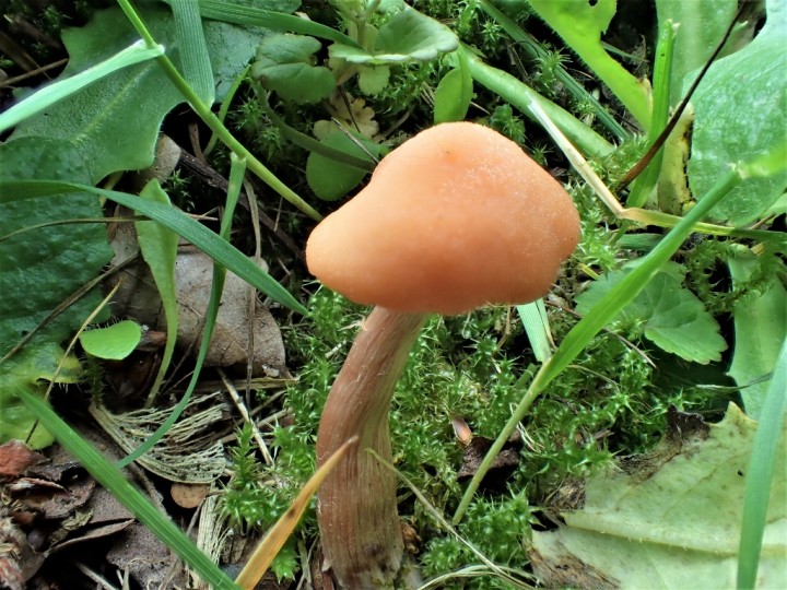 P5317360 (1024x768).jpg