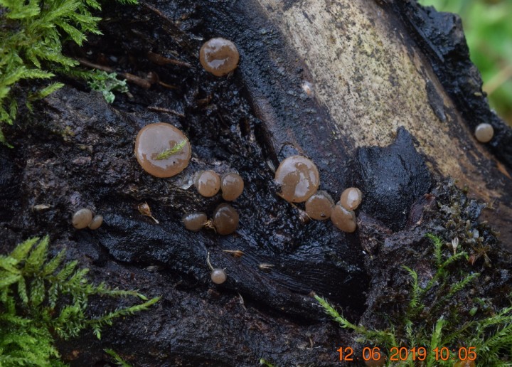 DSC_0493.JPG