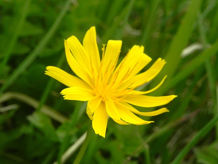 DSCN8408b.JPG