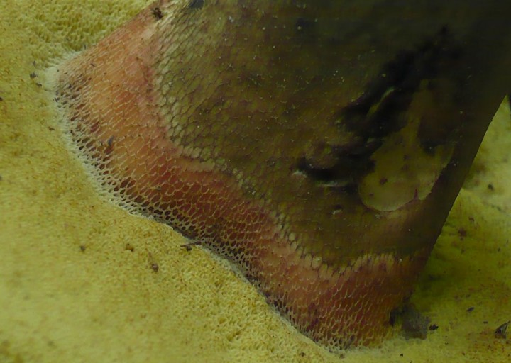 P1220310.jpg