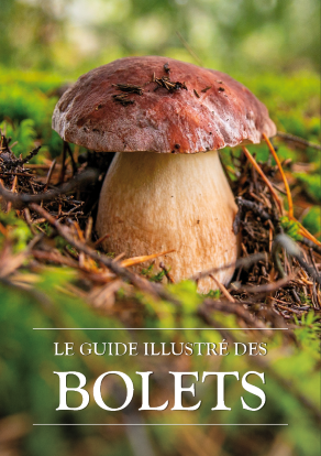 Aperçu de couverture.png