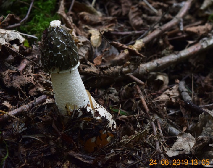 DSC_0568_01.JPG