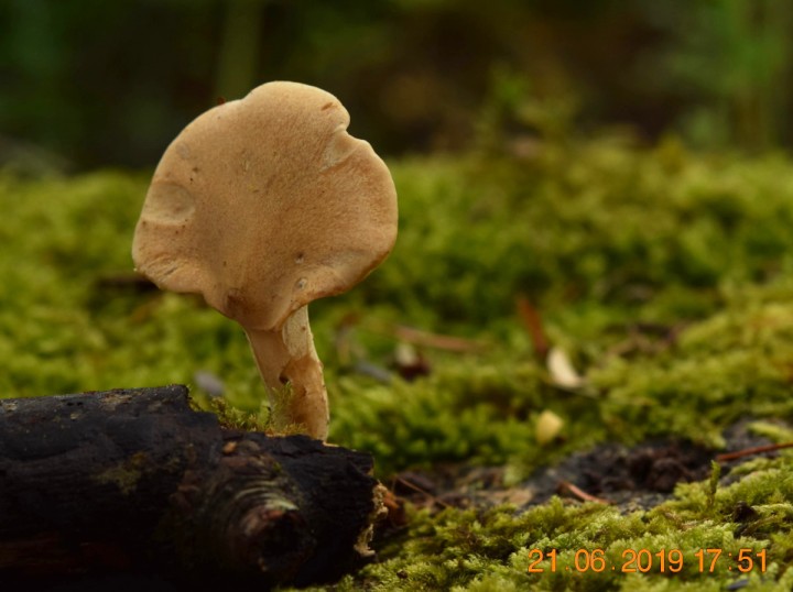 DSC_0537_01.JPG