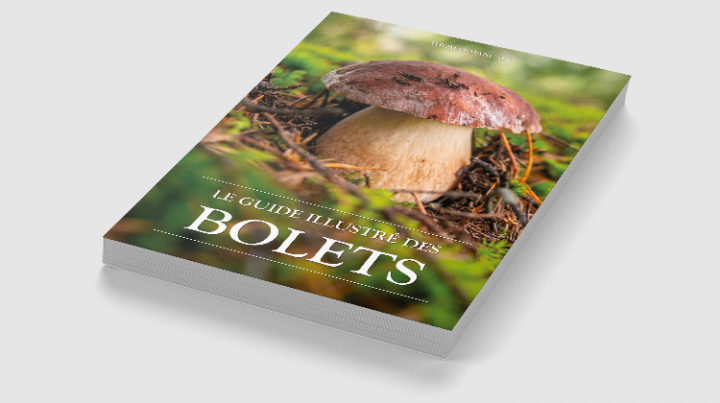 Mockup couverture.png