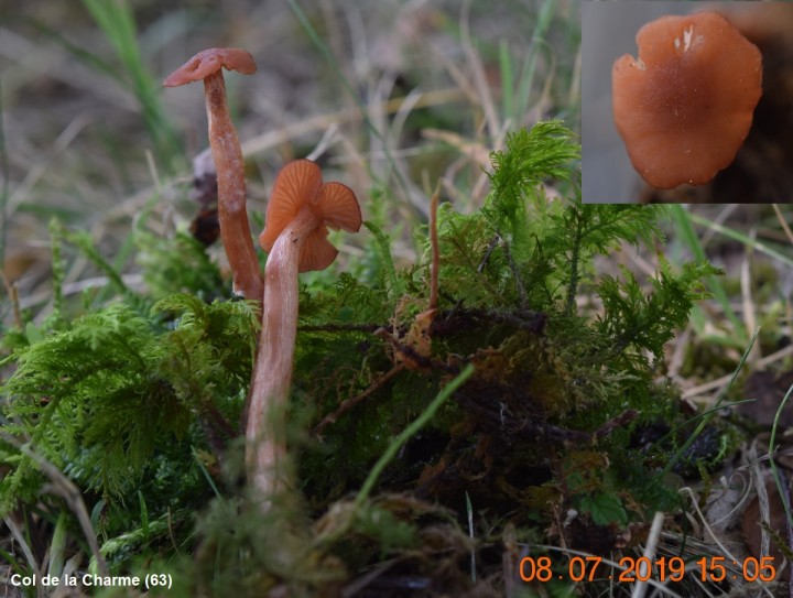 DSC_0640_01 - Copie.JPG