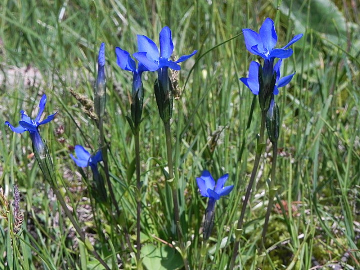 DSCN8853b.JPG