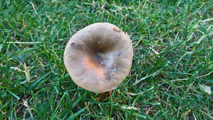 WP_20190708_20_36_07_Pro.jpg