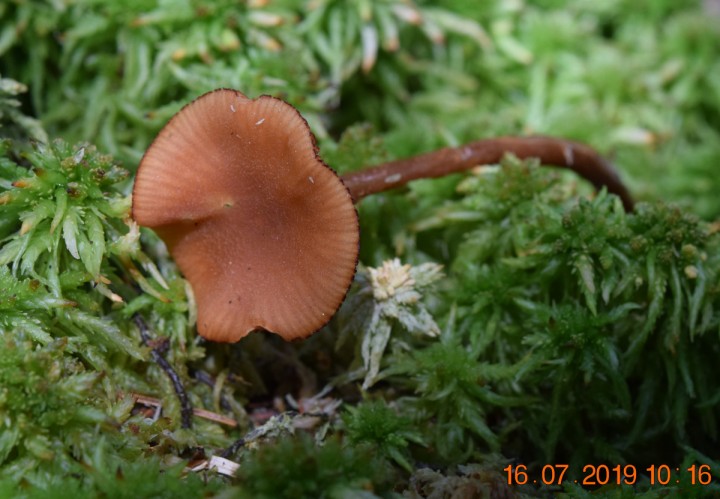 DSC_0665.JPG