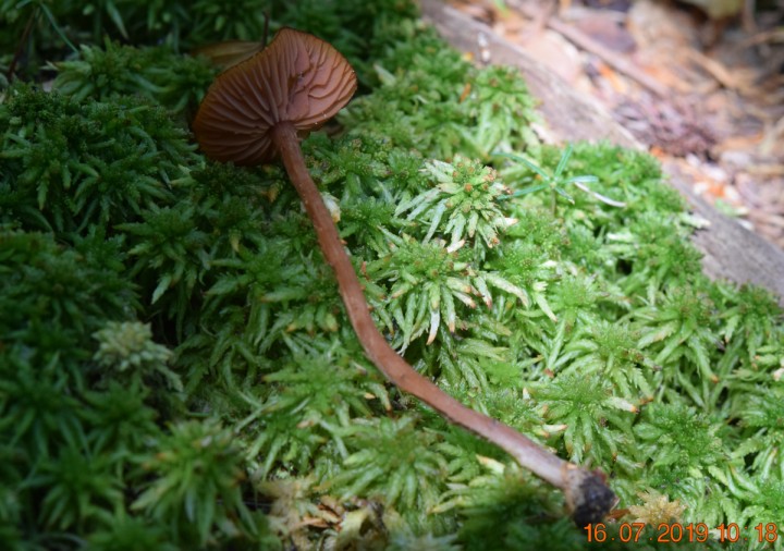 DSC_0666.JPG